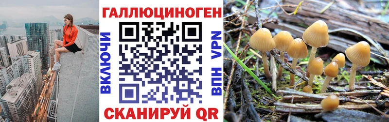 Галлюциногенные грибы Magic Shrooms  магазин  наркотиков  Котлас 