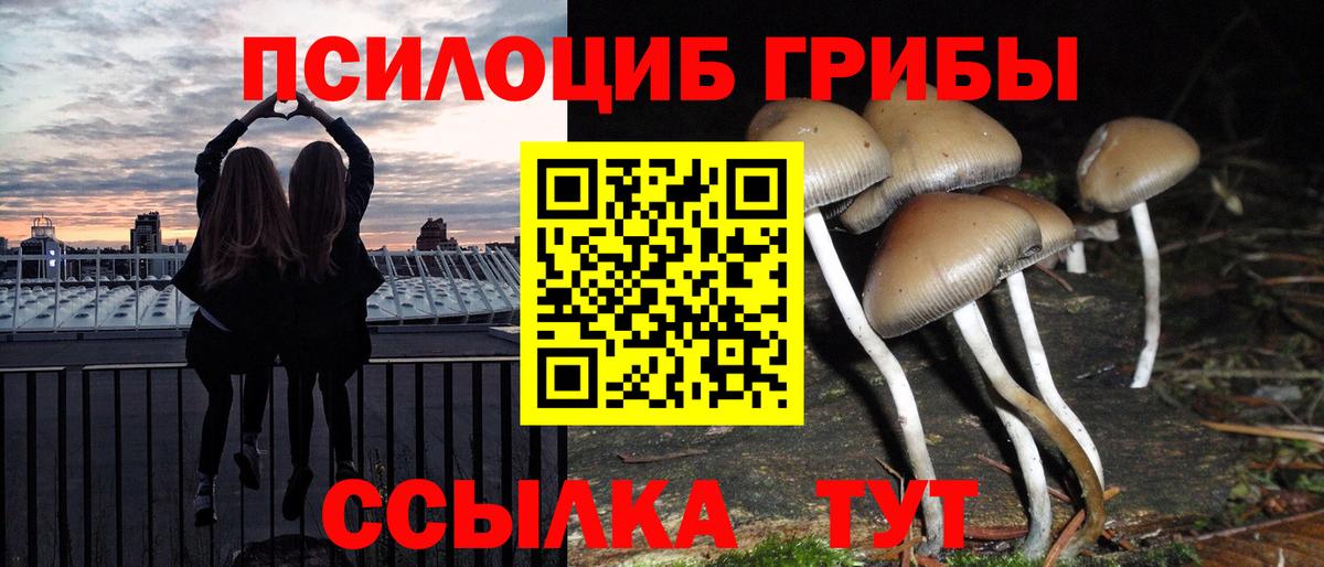Котлас  Галлюциногенные грибы Psilocybine cubensis  Псилоцибиновые грибы мицелий  Вход с VPN 