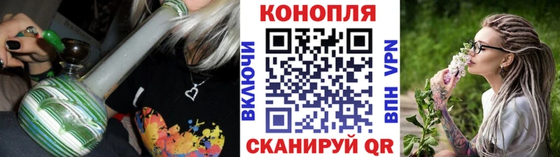 МАРИХУАНА сатива Котлас