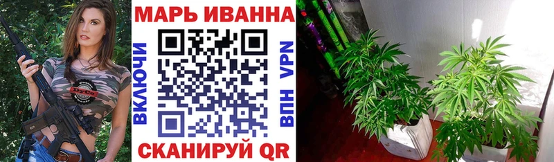 закладка  Котлас  Каннабис планчик 
